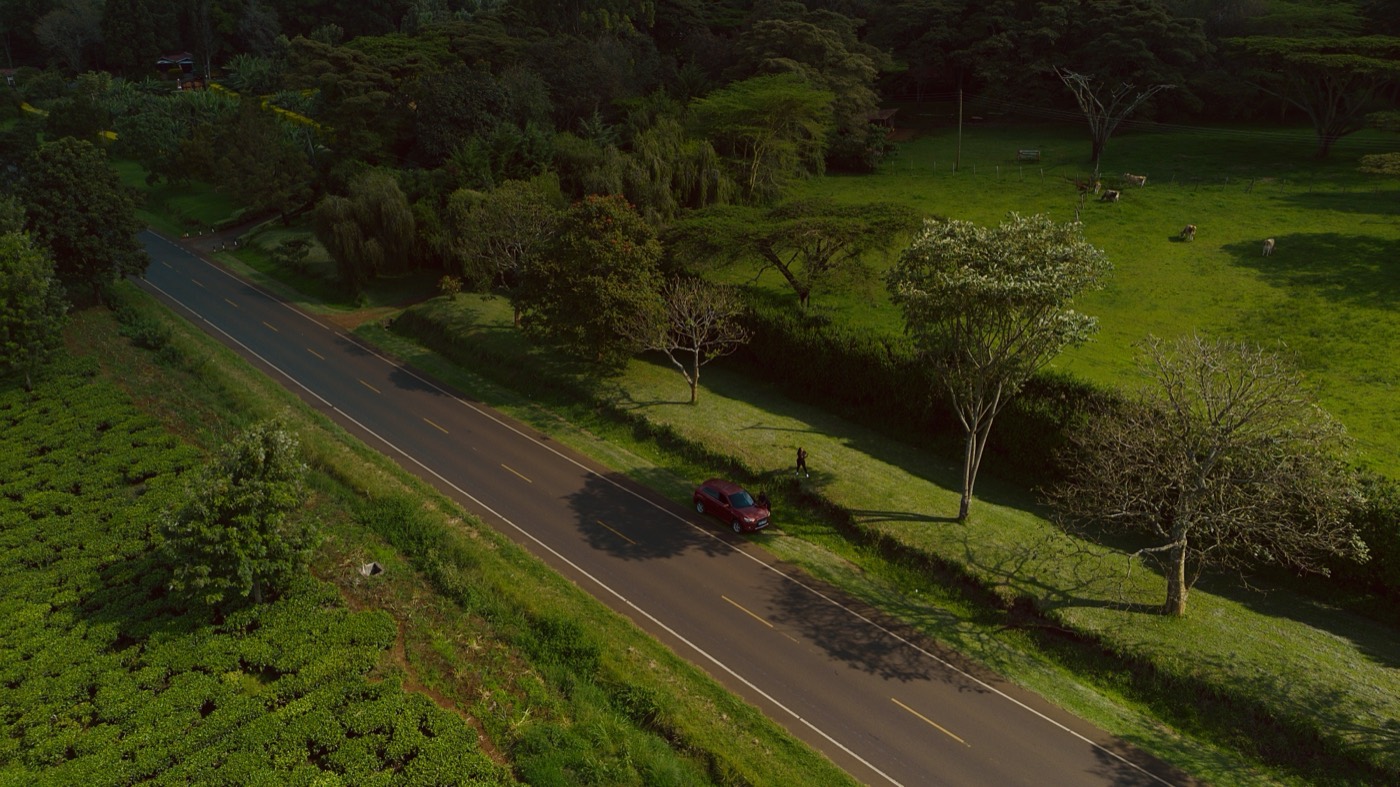 Aerial view of a car on a tree-lined country road at golden hour