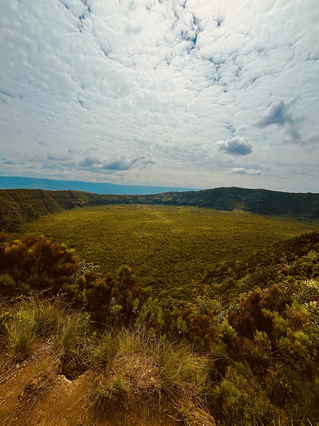 Standing at the rim of a green volcanic crater